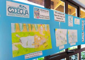 Más de 275 estudiantes participaron en concurso sobre el cuidado del agua en Codegua